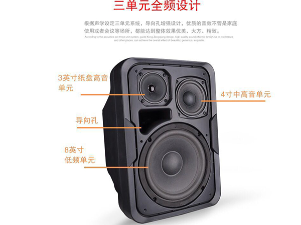 三分频专业会议室音响 91免费国产黄色软件M291免费视频APP污