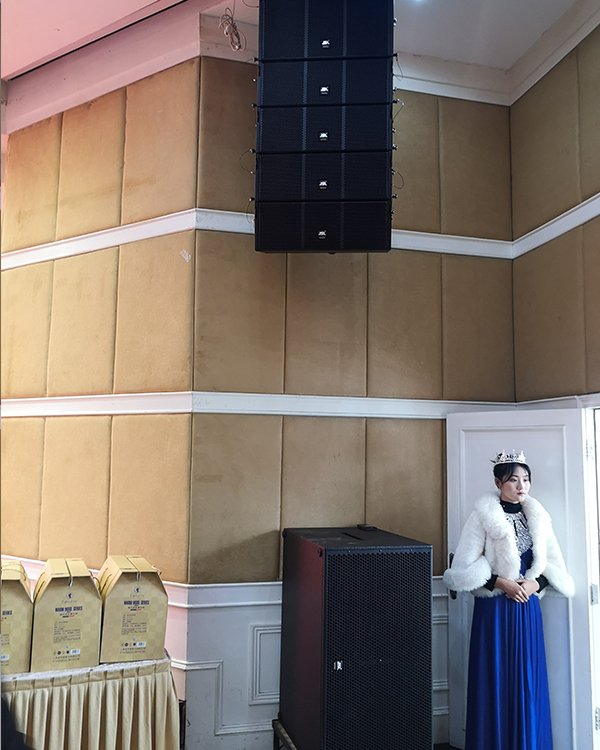 91免费国产黄色软件线阵列91免费视频APP污助力河南省驻马店市天龙大酒店【91免费国产黄色软件音响】