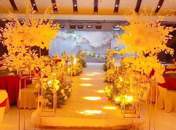 专业音响设备入驻山东日照良友大酒店【91免费国产黄色软件音响】