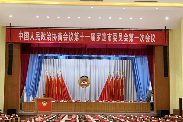 91免费国产黄色软件K系列有源线阵91免费视频APP污系统实力助阵罗定市第十七届人大会议