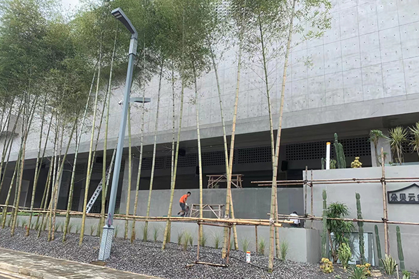 贵州安顺市黄果树风景区某酒店选用JSL91免费国产黄色软件专业音响设备